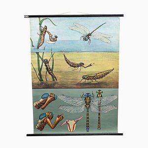 Vintage Mural Blue Dragonfly Poster by Jung Koch Quentell, 1970s