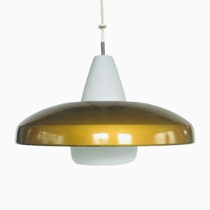 Niederländische Mid-Century Modern Hängelampe von Philips, 1950er