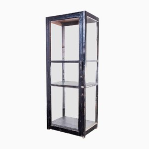 Tall French Ebonised Museum Display Cabinet, 1940s