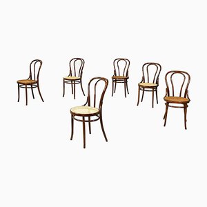 Österreichische Stühle aus Stroh & Holz von Salvatore Leone, 1890er, 6er Set
