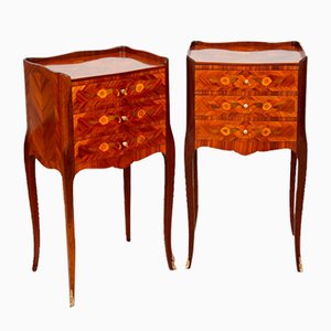 Antique French Napoleon III Bedside Tables in Precious Exotic Woods, 1800s, Set of 2