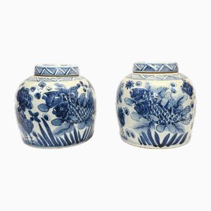 Chinese Blue and White Porcelain Urns with Goldfish, Set of 2