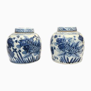 Urnas chinas de porcelana azul y blanca con peces de colores. Juego de 2