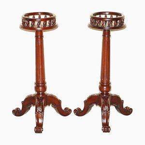 Antique Hand Carved Pedestal Plant Stands in the style of Thomas Chippendale, Set of 2