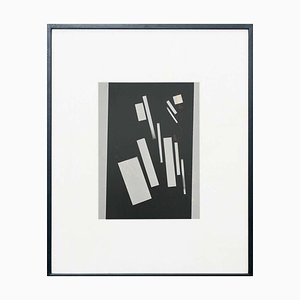 Adrian, Contemporary Composition, 2013, Photographic Print, Framed