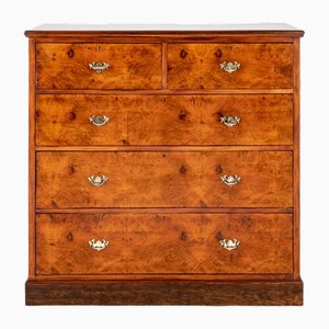 Victorian Chest Drawers in Walnut, 1890s