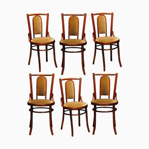 Wooden Chairs, 1950s, Set of 6