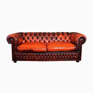 Chesterfield Sofa in Orange, patiniert