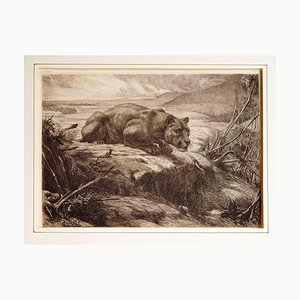 Evert Louis van Muyden, Lioness I, Etching, 1900