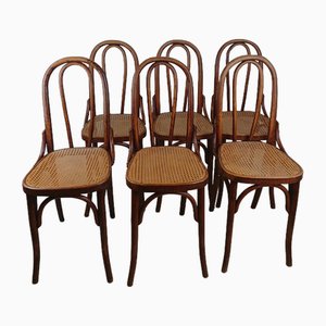 Bistro Chairs in Caning and Curved Wood, 1920s, Set of 6