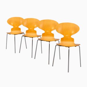 Modell 3100 Ant Chairs aus Schichtholz von Arne Jacobsen für Fritz Hansen, 1980er, 4 . Set