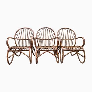 Lounge Chairs in Rattan, 1970s, Set of 3