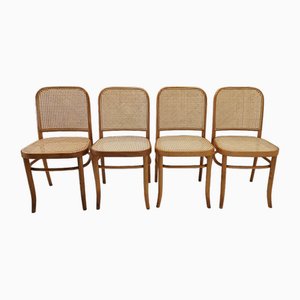 811 Dining Chairs by Josef Hoffman for Thonet, 1980s, Set of 4