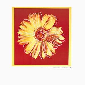 Andy Warhol, Daisy, 1980s, Lithographie