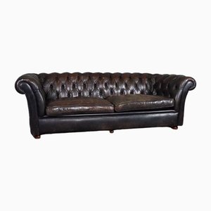 Divano Chesterfield in pelle marrone