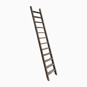 Vintage Workshop Fir Ladder