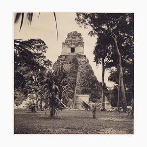 Hanna Seidel, Guatemaltekisches Tikal, Schwarzweiß Fotografie, 1960er