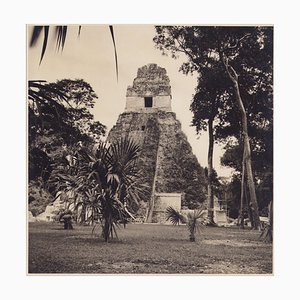 Hanna Seidel, Tikal guatemalteco, fotografía en blanco y negro, años 60