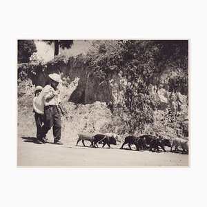 Hanna Seidel, granjera guatemalteca, fotografía en blanco y negro, años 60