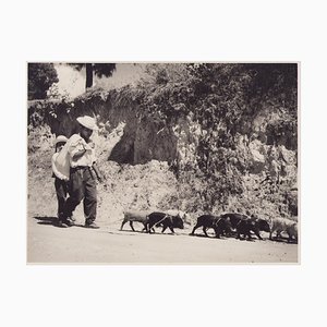 Hanna Seidel, Guatemalan Farmer, Black and White Photograph, 1960s