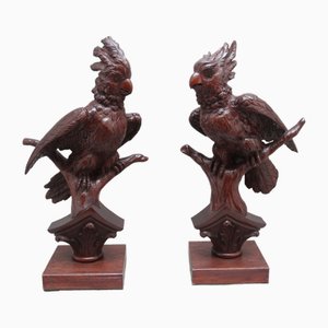 19th Century Decorative Carved Walnut Parakeets, 1880, Set of 2