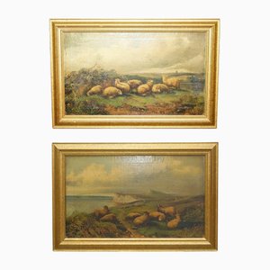 John W Morris, Paisajes con ovejas, siglo XIX, Pinturas al óleo, Juego de 2