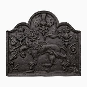 English Victorian Iron Relief Fire Back, 1890s