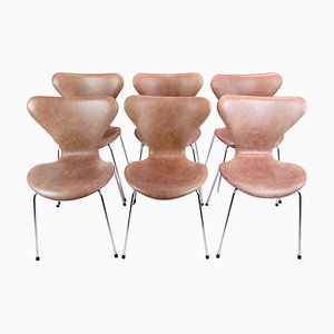 Serie Seven Modell 3107 Stühle von Arne Jacobsen für Fritz Hansen, 6 . Set