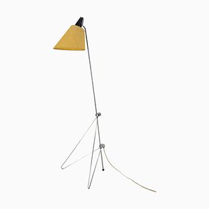 Floor Lamp attributed to Hurka for Napako, 1950s
