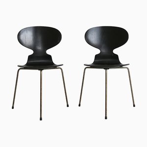 Model 3100 Ant Chairs by Arne Jacobsen for Fritz Hansen, 1950s, Set of 2