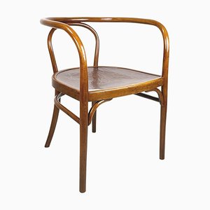 Austrian Chair in Wood with Embossed Floral Print by Thonet, 1900s