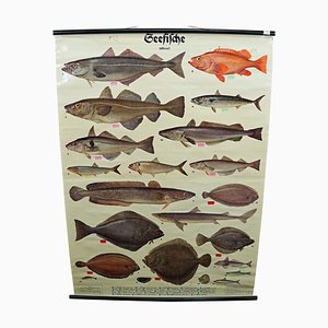 Poster da parete vintage con pesce di mare, anni '60