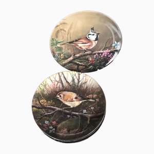 Decorative Сollectible Small World of Birds Wall Plates, Tirschenreuth, Germany, 1991, Set of 3