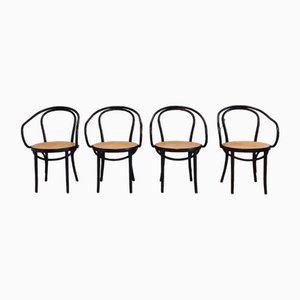 Bentwood & Rattan No. 209 Armchairs from ZPM Radomsko, 1970s, Set of 4