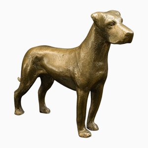 Statuetta antica in bronzo di Great Dane, Regno Unito, inizio XX secolo