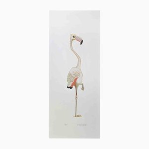 Alberto Mastroianni, Flamingo, Lithographie, 1970er