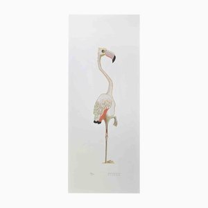 Alberto Mastroianni, Flamingo, Litografía, años 70