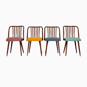 Beech Dining Chairs from Ton, 1960s, Set of 4