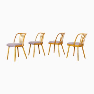 Dining Chairs by Antonín Šuman for TON, Set of 4