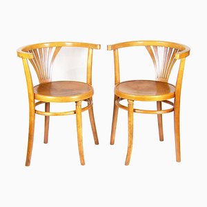 Sillas de escritorio modelo 28 atribuidas a Thonet, década de 1900. Juego de 2