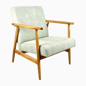 Vintage Light Green Easy Chair, 1970s