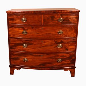 Antique Bowfront Chest of Drawers in Mahogany, 1800s