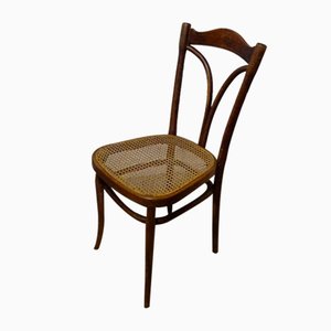 Bistrot Stuhl aus gebogenem Holz & Cannia von Gebrüder Thonet Vienna Gmbh, 1890er