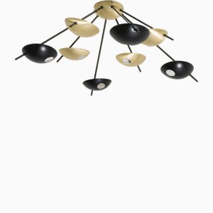 Octo I Helios Collection Black and Gold Wall and Ceiling Lamp by Design for Macha