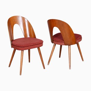 Chaises Mid-Century par Antonin Suman, République Tchèque, 1950s, Set de 2