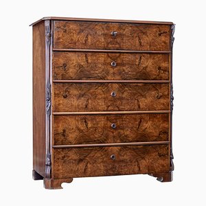 19th Century Burr Walnut Tall Chest of Drawers