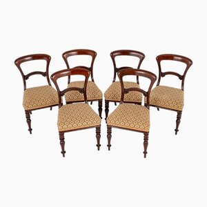 Victorian Balloon Dining Chairs in Back Mahogany, Set of 6