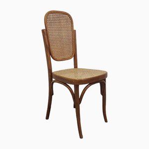 Chair in Bentwood Cane, 1960s