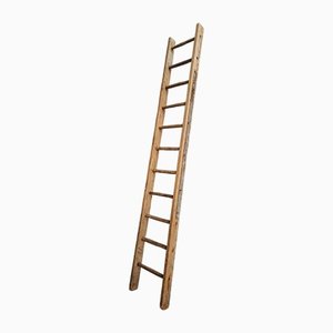 French Ladder in Pine