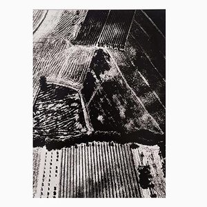 Mario Giacomelli, Presa di coscienza sulla natura, Ende des 20. Jahrhunderts, Silbergelatineabzug